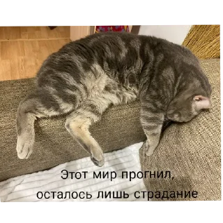 Sticker Бля, солянка я ебу - 6