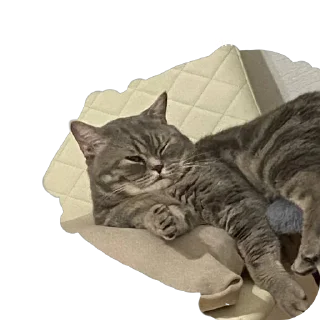 Sticker Бля, солянка я ебу - 8