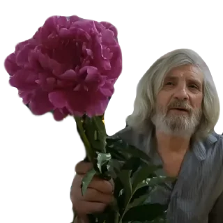 Стикер @Olgamagazin364 Княгиня Ольга - 2