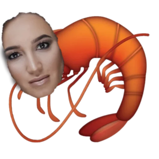 invertebrate human face