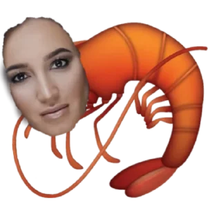 invertebrate human face