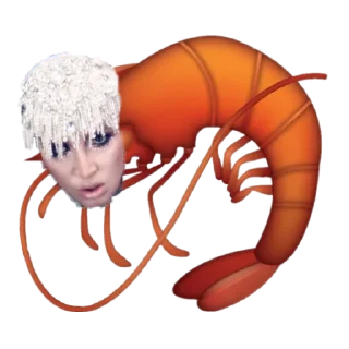 invertebrate animal marine invertebrates