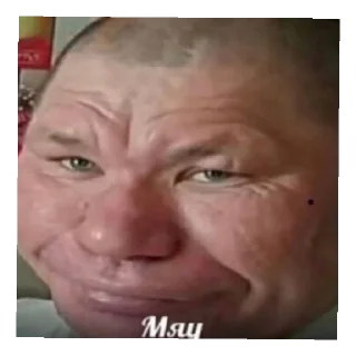 Sticker Ольга Бузова инда хаус - 10