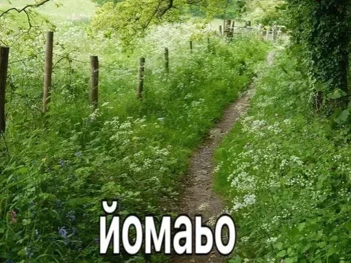 Sticker OlpIGfd_by_achestickbot - 1