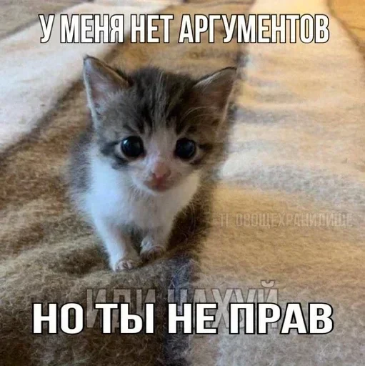 Sticker OlpIGfd_by_achestickbot - 1