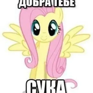 Стикер Больше стиков тут: @stikery4 - 7