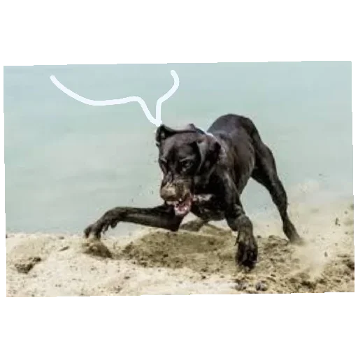 Больше стиков тут: @stikery4 - 