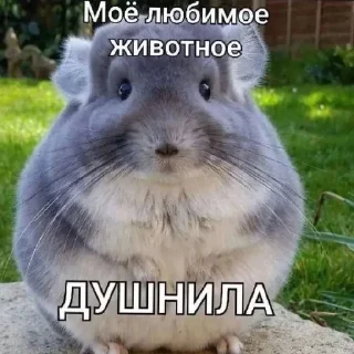 Стикер Больше стиков тут: @stikery4 - 10