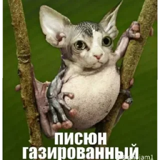 Стикер Больше стиков тут: @stikery4 - 1