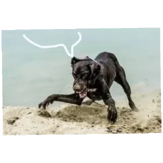 Стикер Больше стиков тут: @stikery4 - 5