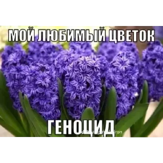 Стикер Больше стиков тут: @stikery4 - 4