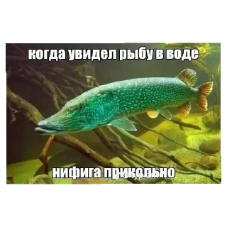 Стикер Больше стиков тут: @stikery4 - 11
