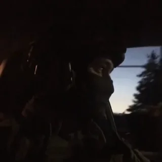 Стикер omon_ru - 5