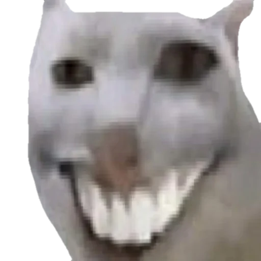 Sticker OneTheRia - 1