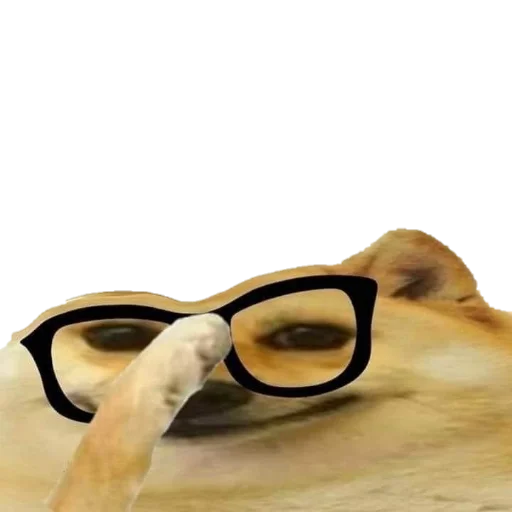 Sticker OneTheRia - 1