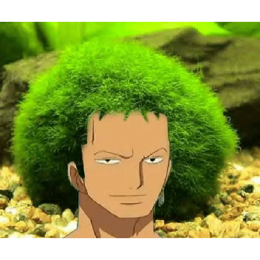 Sticker One_Piecee - 1