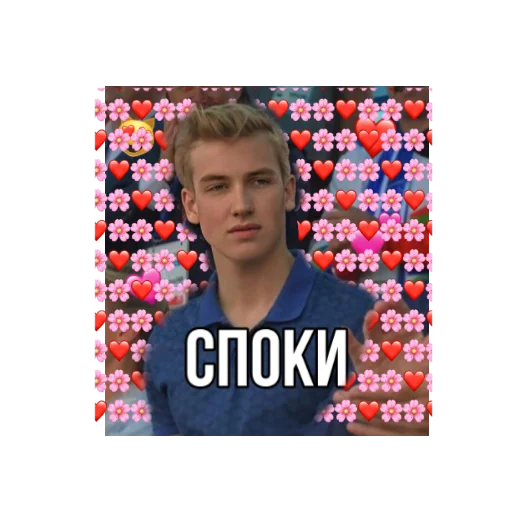 Sticker Коленька ван лав ?‍♀? - 5