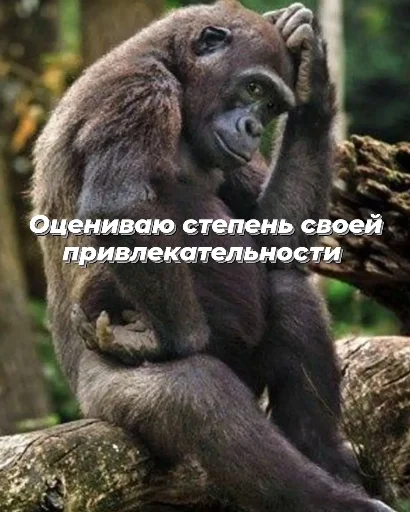 Sticker OnehundredfifteenBlyut - 1