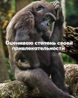 Sticker 115Б-блять - 6