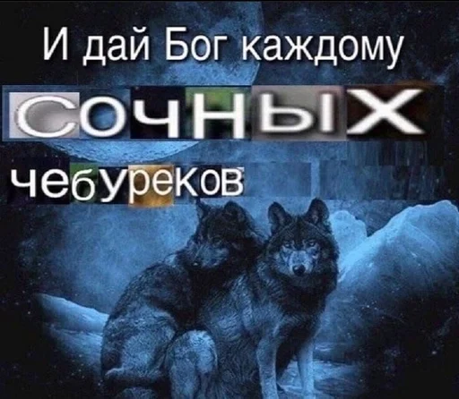 СМС животное собака