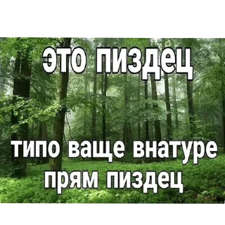 Стикер Онли для великолепной четвёрки 😍👑 - 9