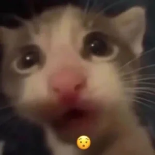 Sticker WithLoveForYouFromMe - 6