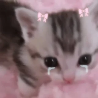 Sticker WithLoveForYouFromMe - 9