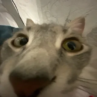 Sticker WithLoveForYouFromMe - 1