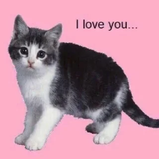 Sticker WithLoveForYouFromMe - 10