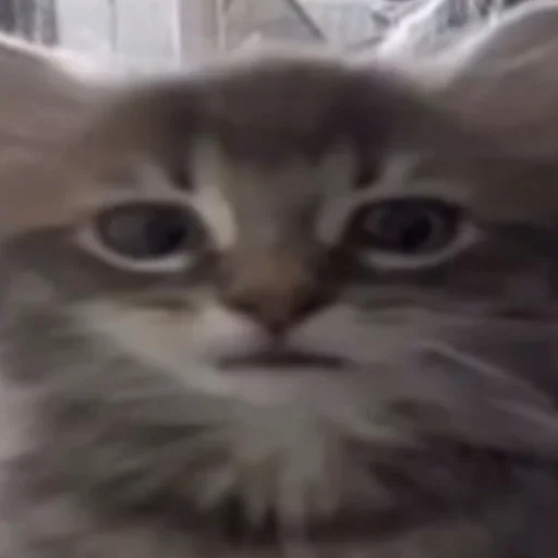 Стикер OnlyGoodstuff - 1