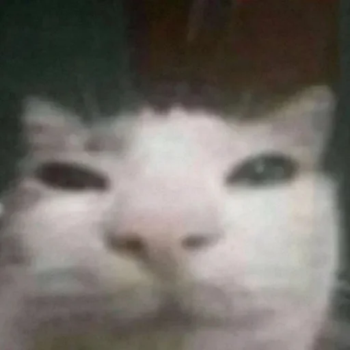 Стикер OnlyGoodstuff - 1