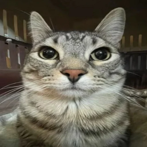 Стикер OnlyGoodstuff - 1