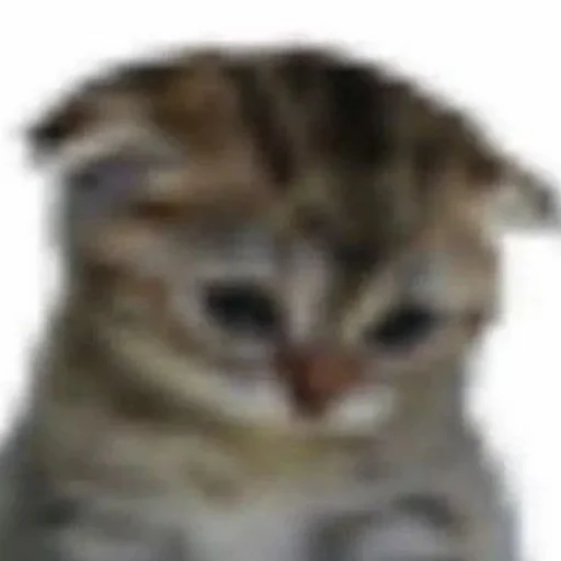 Стикер OnlyGoodstuff - 1