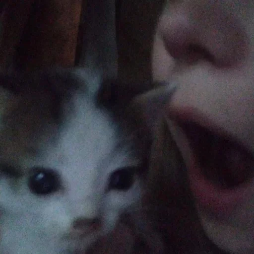 Стикер OnlyGoodstuff - 1