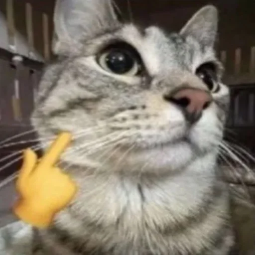 Стикер OnlyGoodstuff - 1