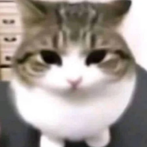 Стикер OnlyGoodstuff - 1