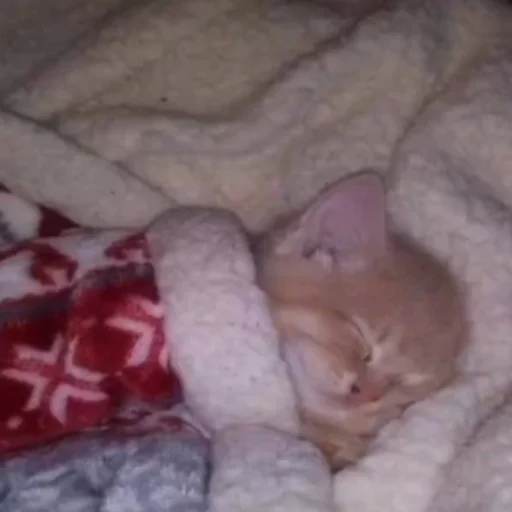 Стикер OnlyGoodstuff - 1