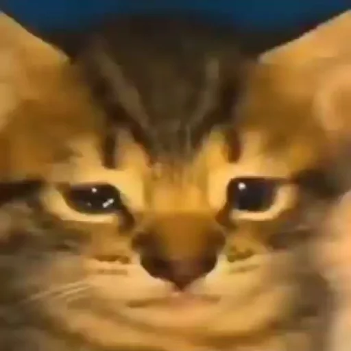 Стикер OnlyGoodstuff - 1