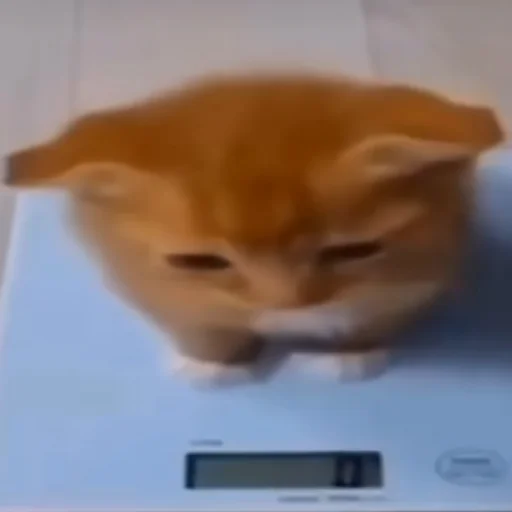 Стикер OnlyGoodstuff - 1