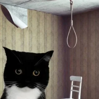 Стикер @lightondrugs - 11