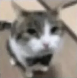 Стикер @lightondrugs - 8