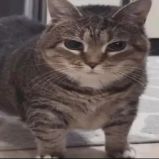 Стикер @lightondrugs - 1