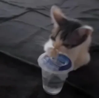 Стикер @lightondrugs - 9