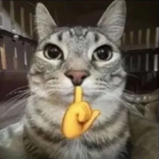 Стикер @lightondrugs - 4