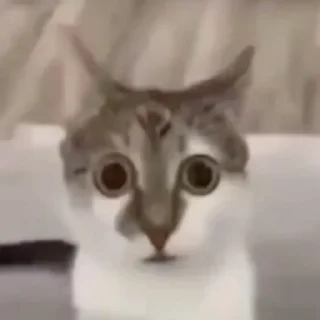 Стикер @lightondrugs - 5