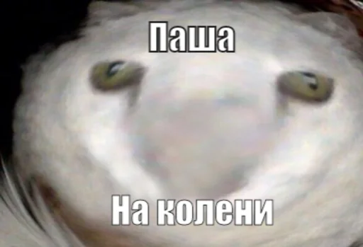 Стикер НЕгрЫ - 6