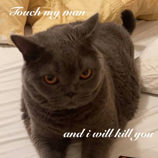 Стикер Onlybooks - 1