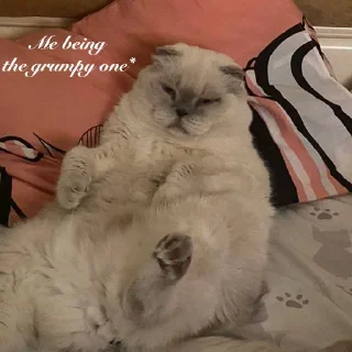 Sticker Onlybooks in my heart🛐♥️💫 - 3