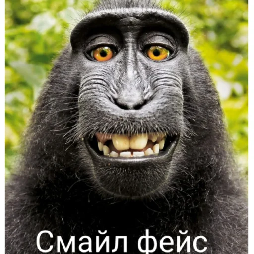 Стикер Oodaaadetka - 1