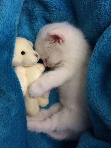 Избранные • @sticbot - 